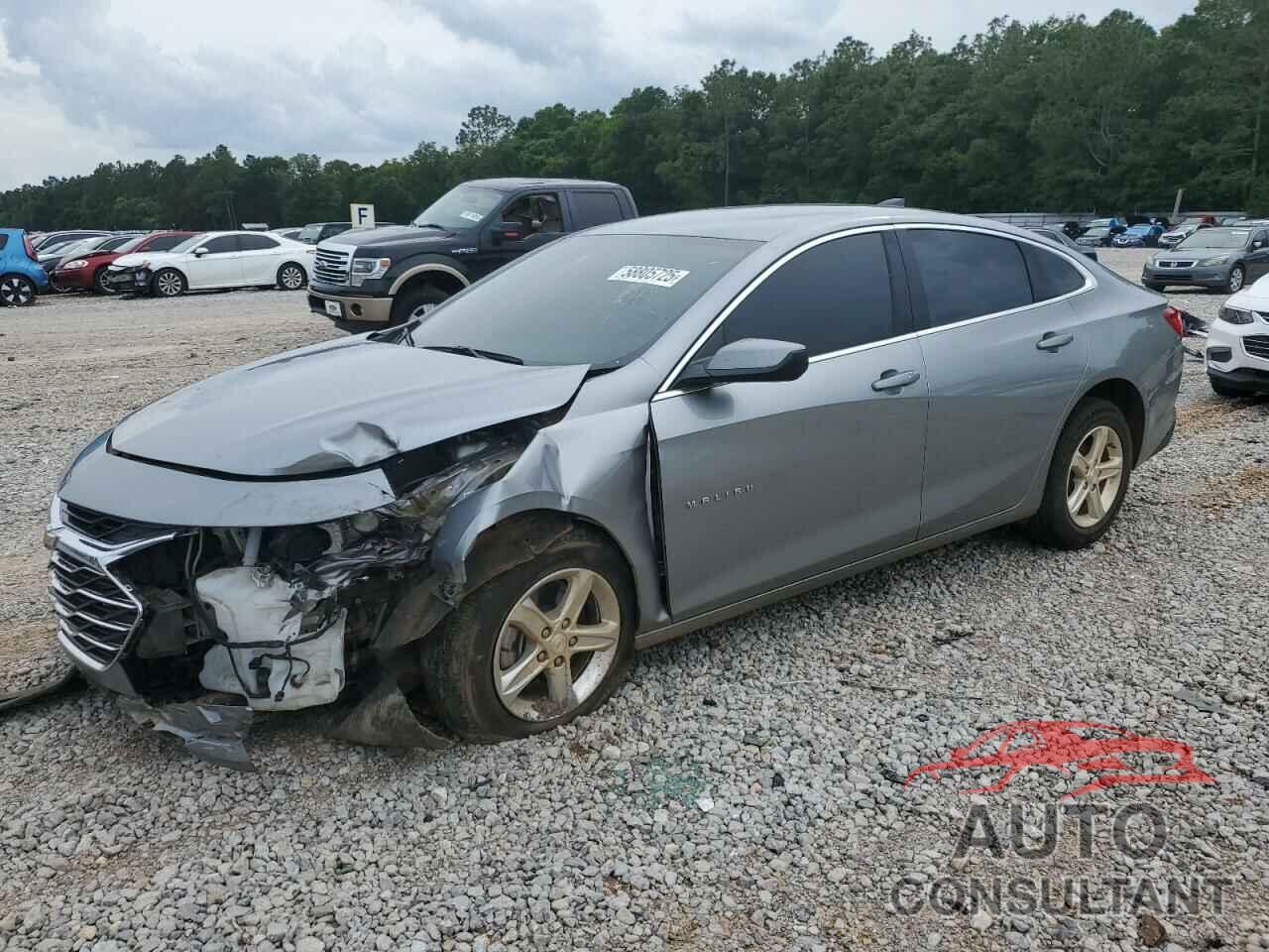 CHEVROLET MALIBU 2024 - 1G1ZB5ST7RF113761