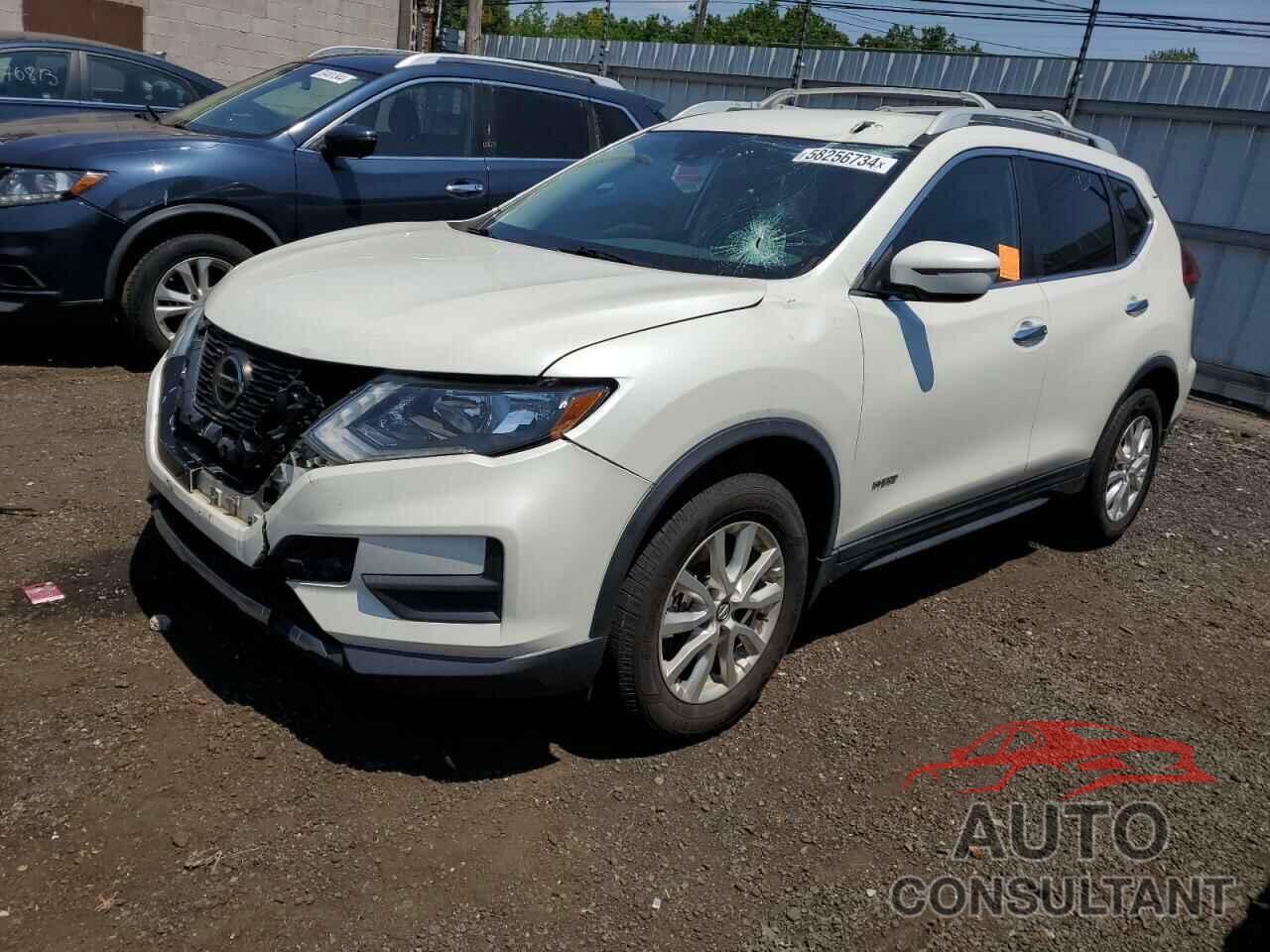 NISSAN ROGUE 2019 - 5N1ET2MV8KC748006