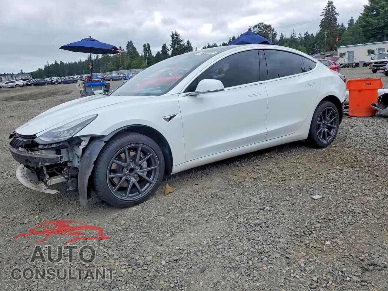 TESLA MODEL 3 2019 - 5YJ3E1EA1KF425169