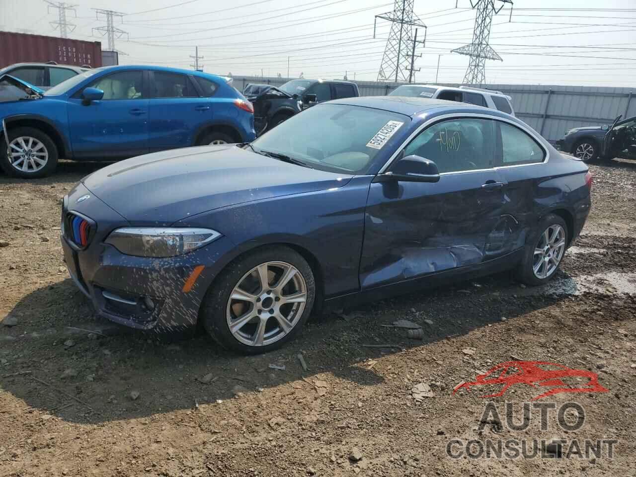 BMW 2 SERIES 2015 - WBA1F5C59FV257044
