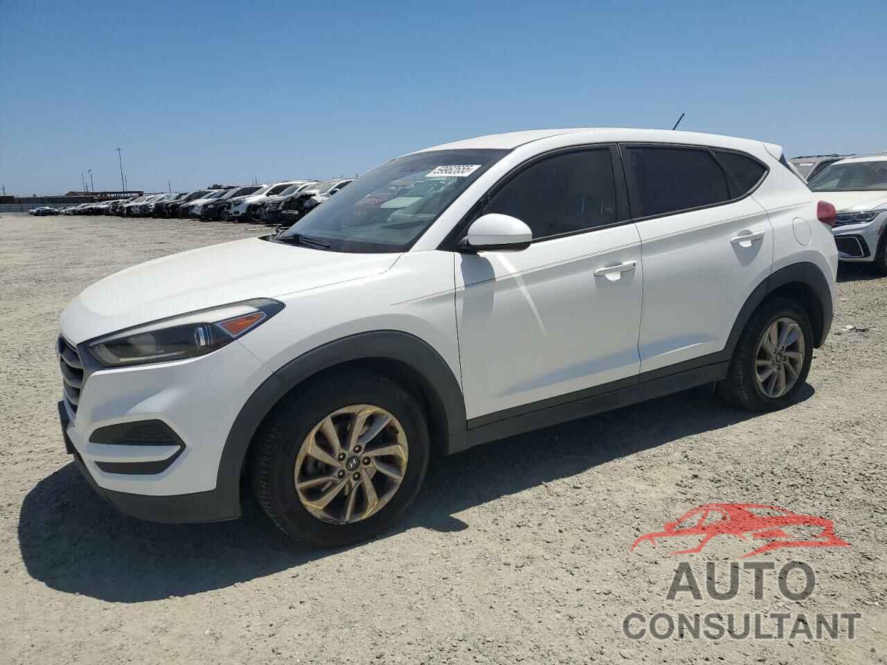 HYUNDAI TUCSON 2018 - KM8J23A44JU816930