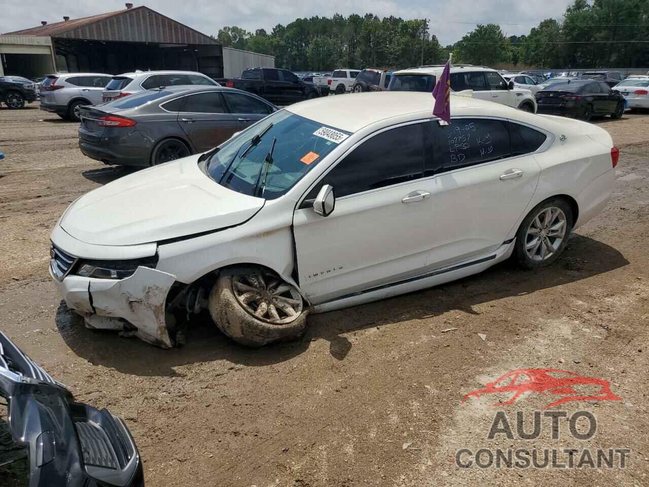 CHEVROLET IMPALA 2019 - 1G11Z5S35KU107757