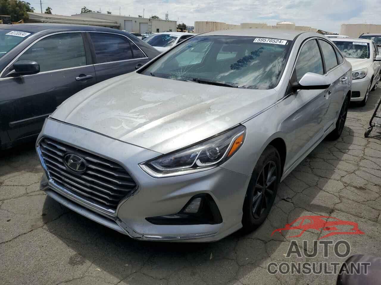 HYUNDAI SONATA 2019 - 5NPE24AF3KH762836