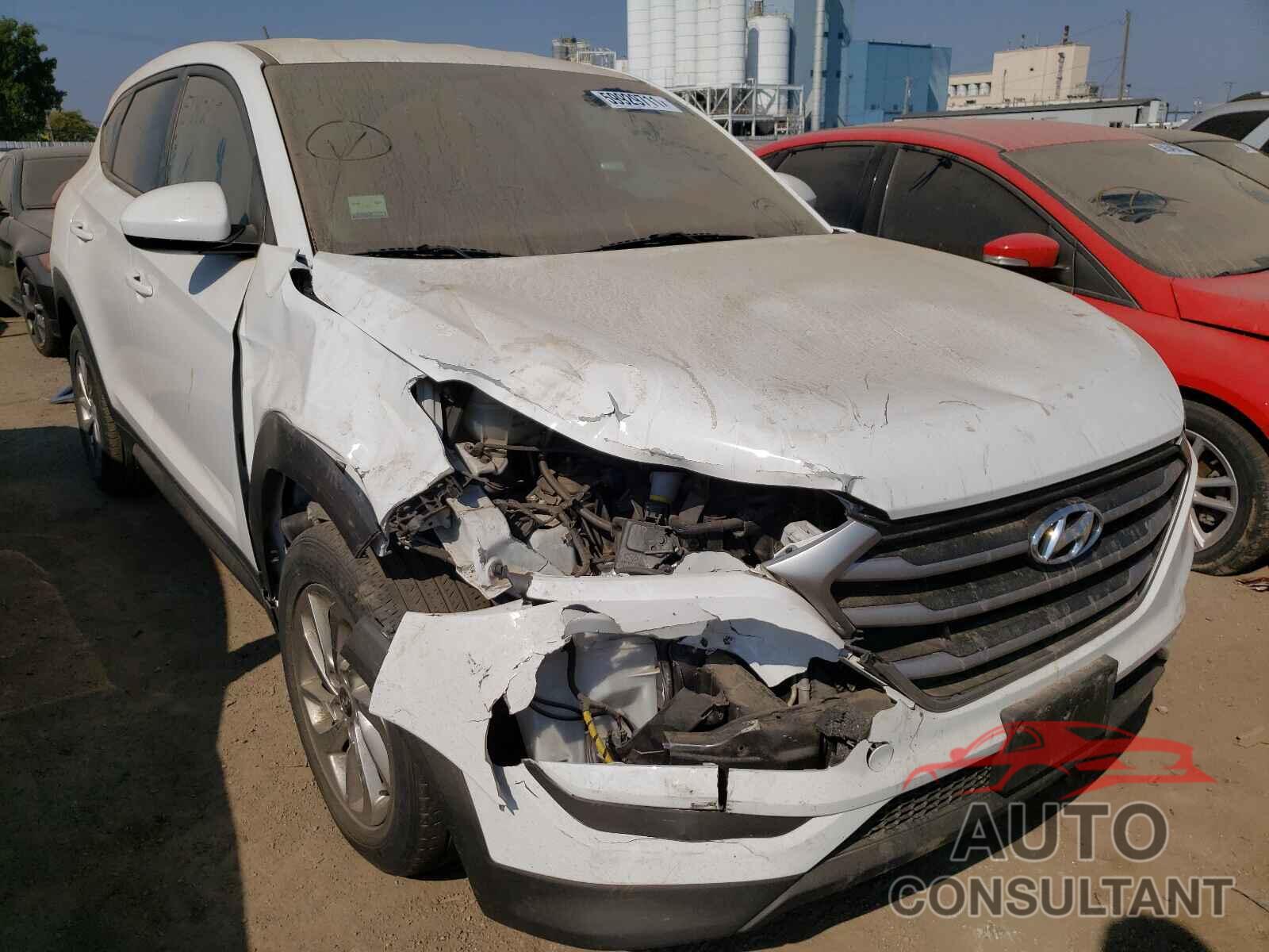 HYUNDAI TUCSON 2017 - KM8J23A48HU362322