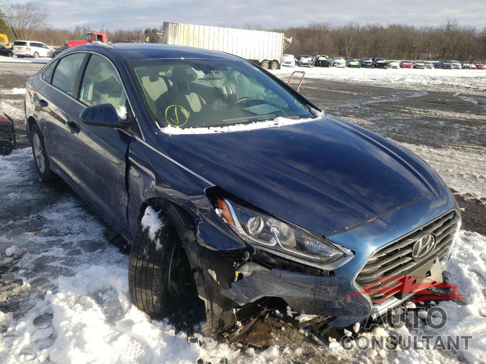 HYUNDAI SONATA 2019 - 5NPE24AF5KH768749