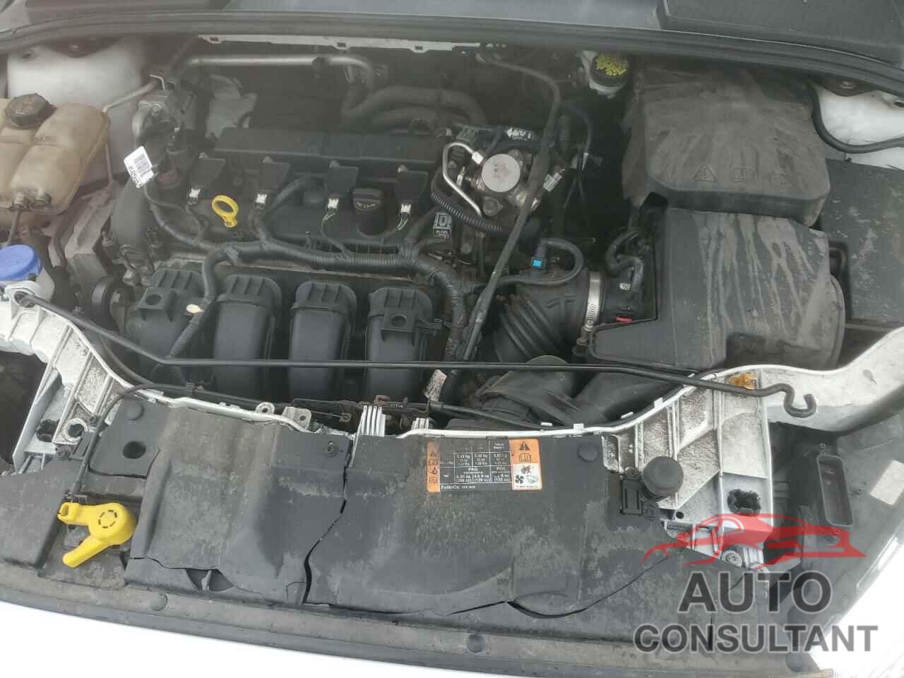 FORD FOCUS 2016 - 1FADP3F27GL397700
