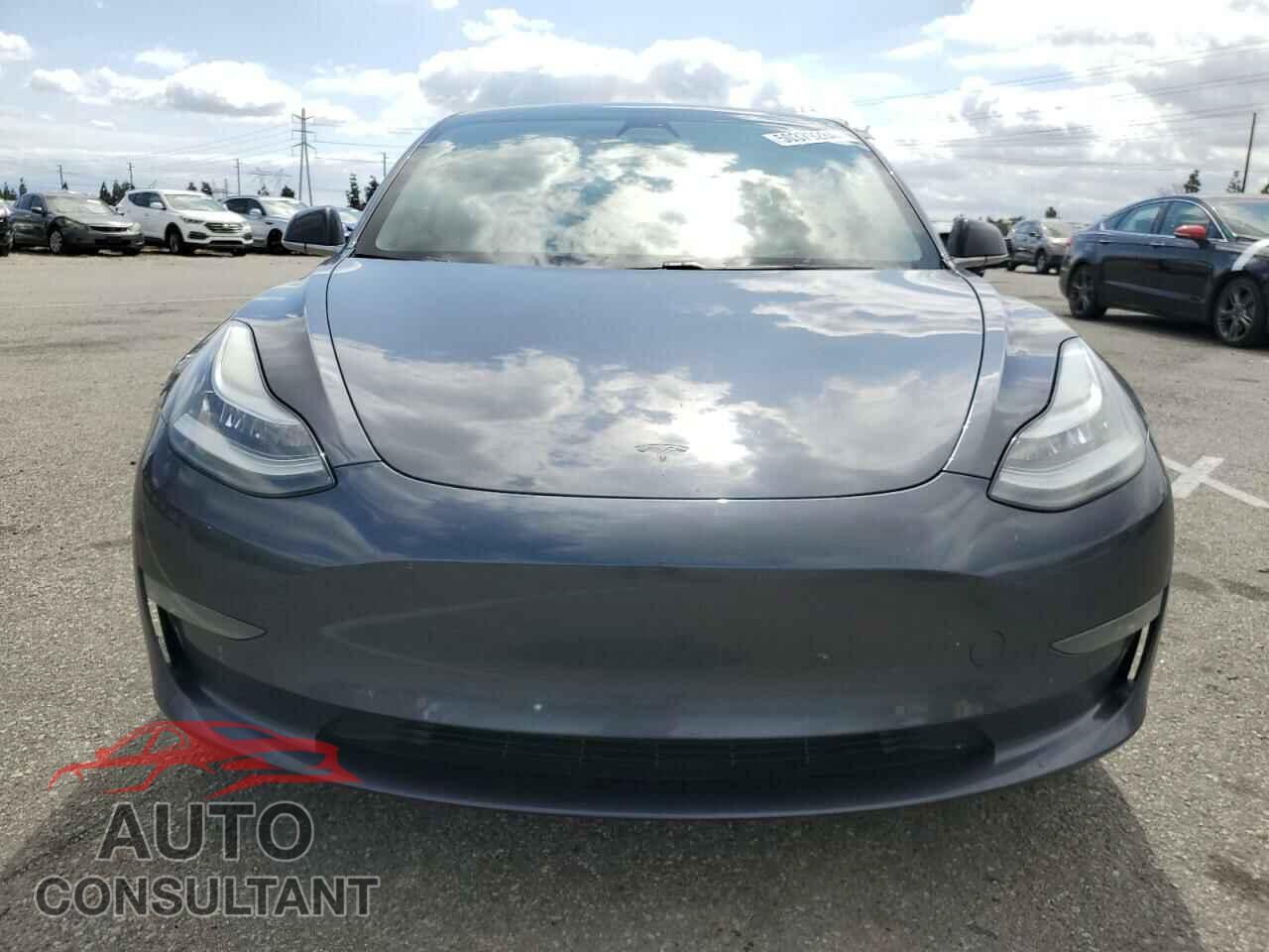 TESLA MODEL 3 2019 - 5YJ3E1EA3KF311190