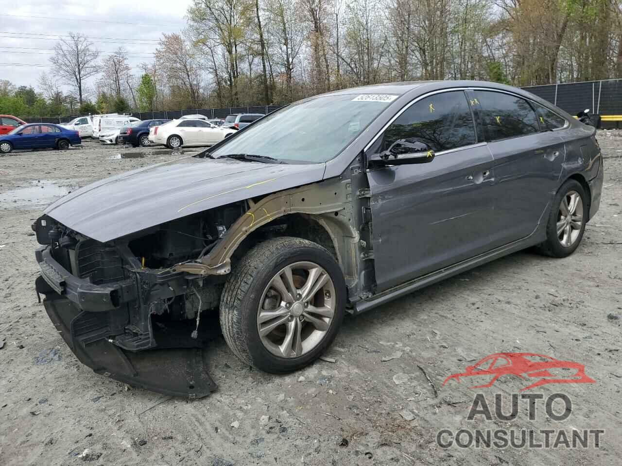 HYUNDAI SONATA 2019 - 5NPE34AF4KH816092