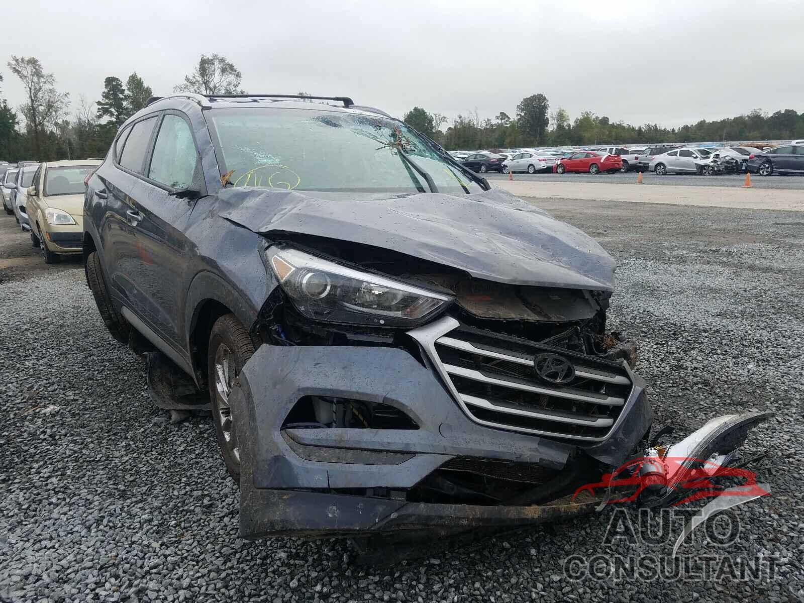 HYUNDAI TUCSON 2017 - KM8J33A44HU346387