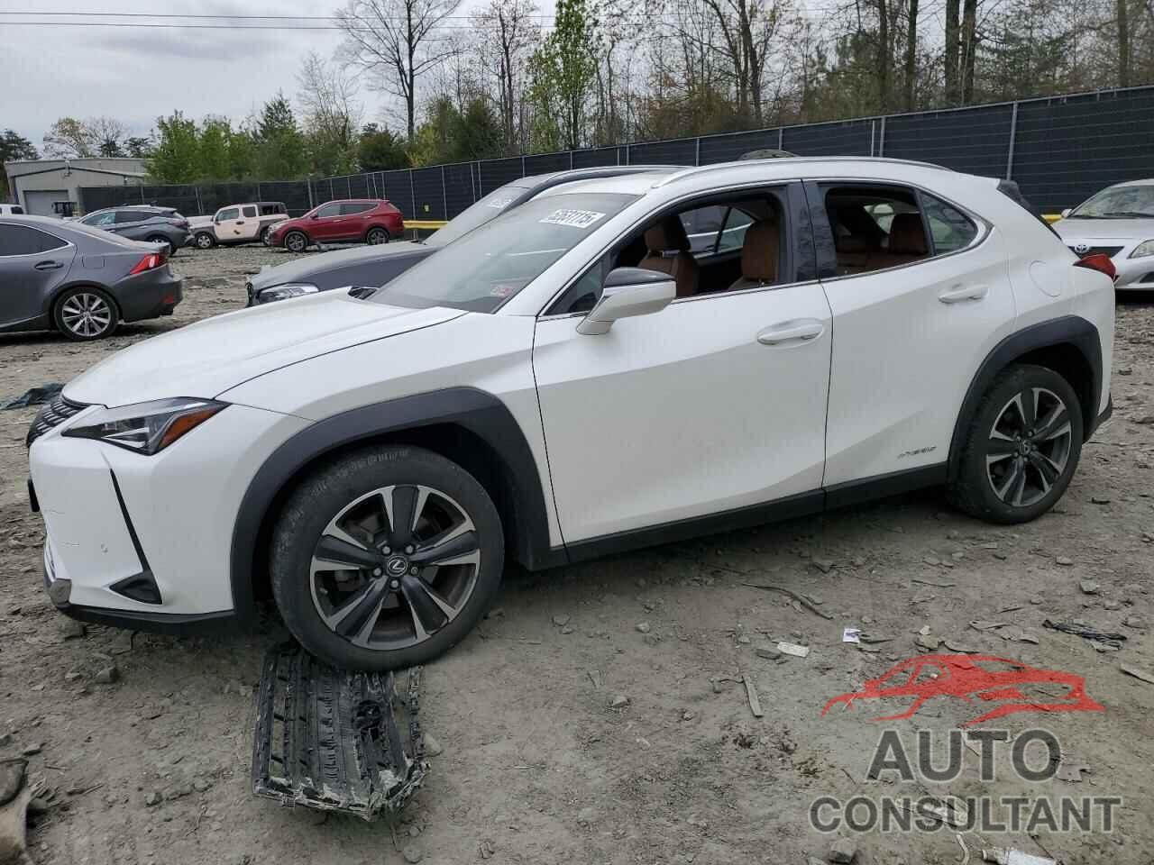 LEXUS UX 250H 2019 - JTHU9JBH7K2008201