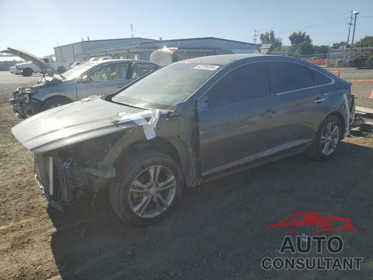 HYUNDAI SONATA 2019 - 5NPE34AF7KH737225