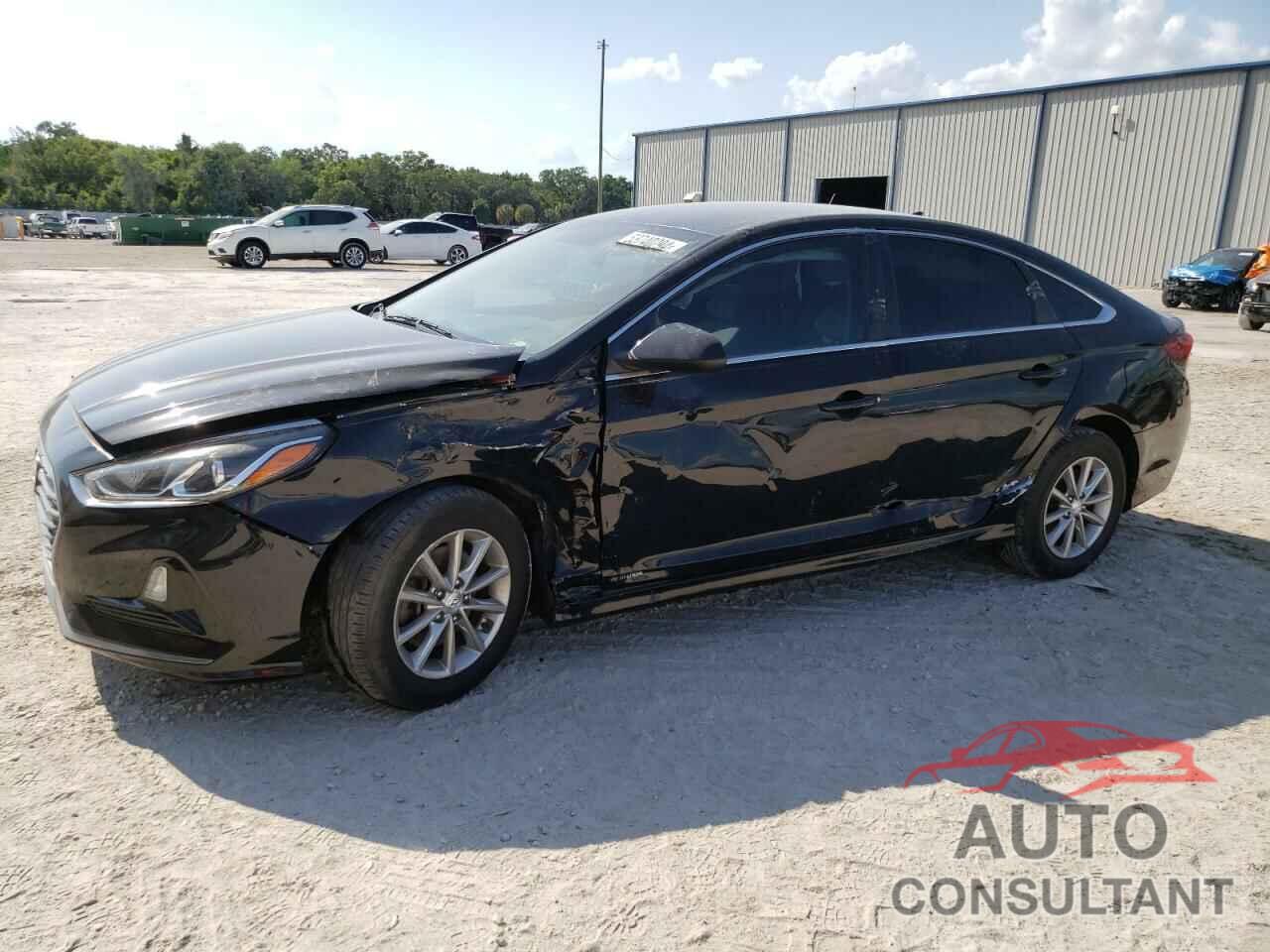 HYUNDAI SONATA 2019 - 5NPE24AF7KH749619