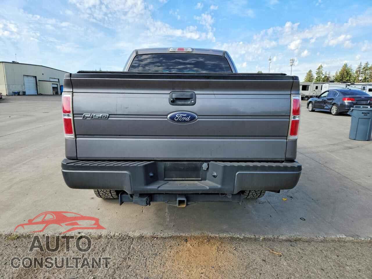 FORD F150 2013 - 1FTFW1ET9DFB54789