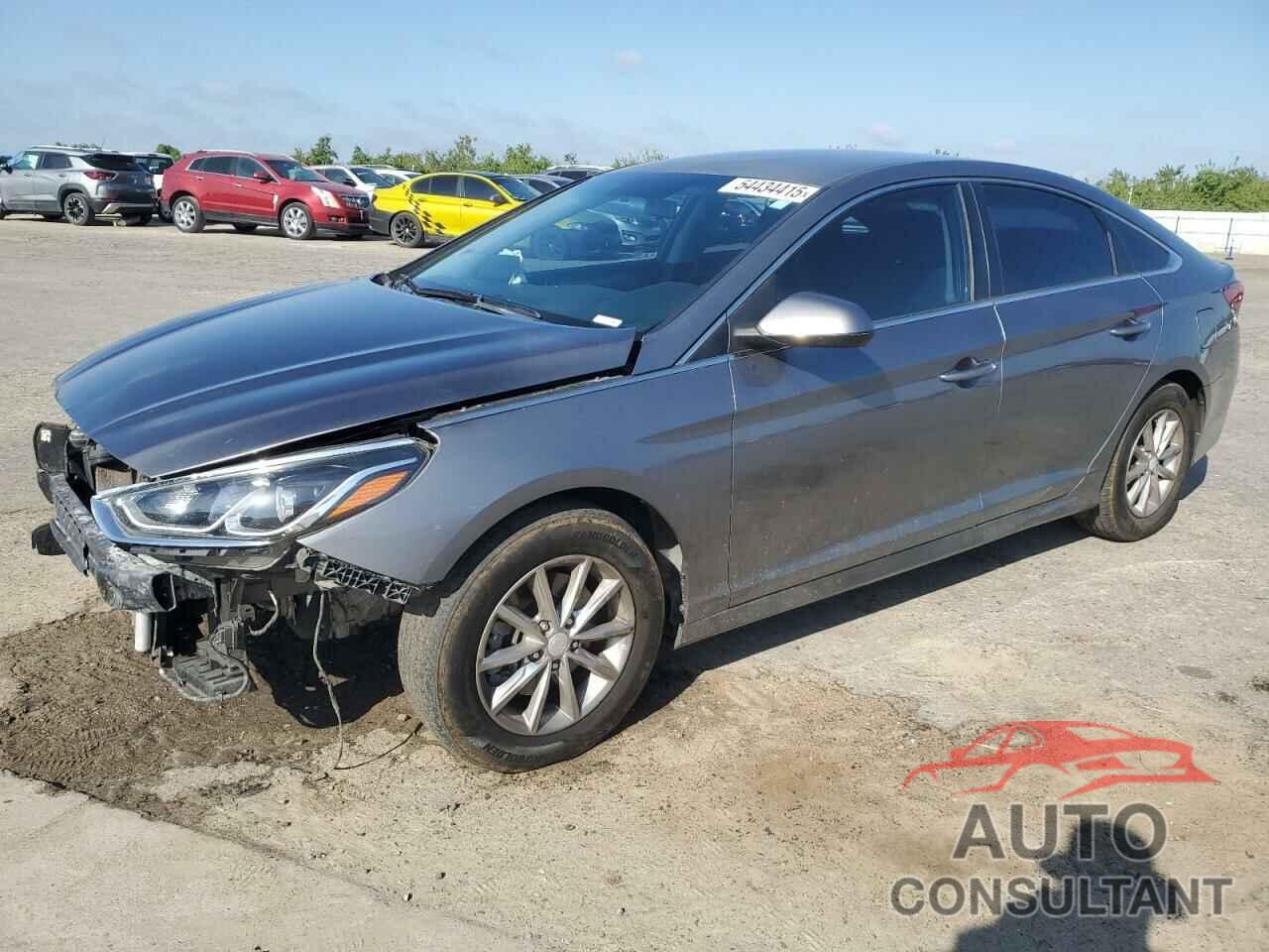 HYUNDAI SONATA 2019 - 5NPE24AF8KH747782