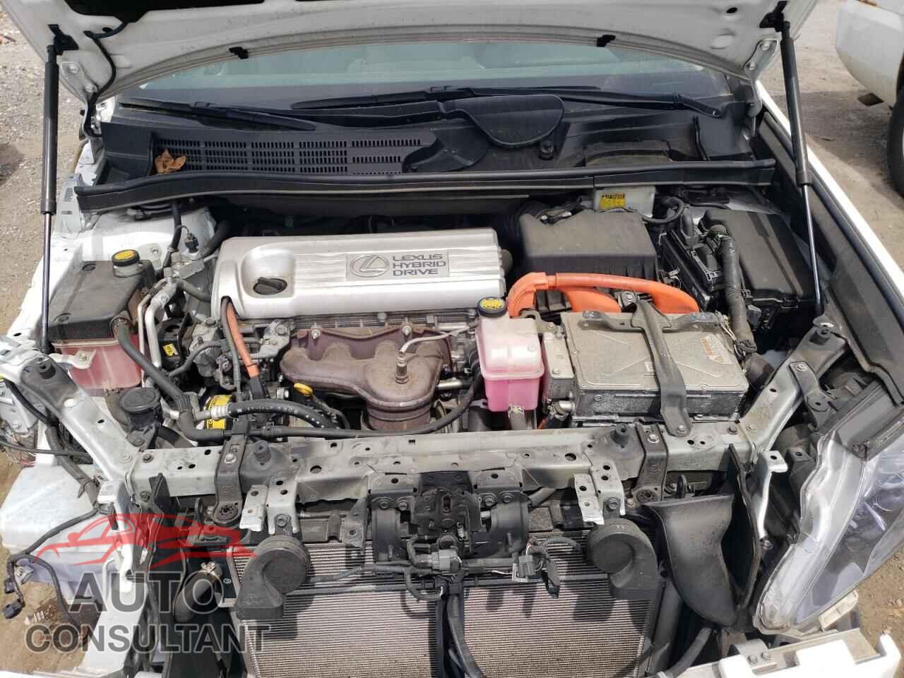 LEXUS HS 2011 - JTHBB1BA8B2046440