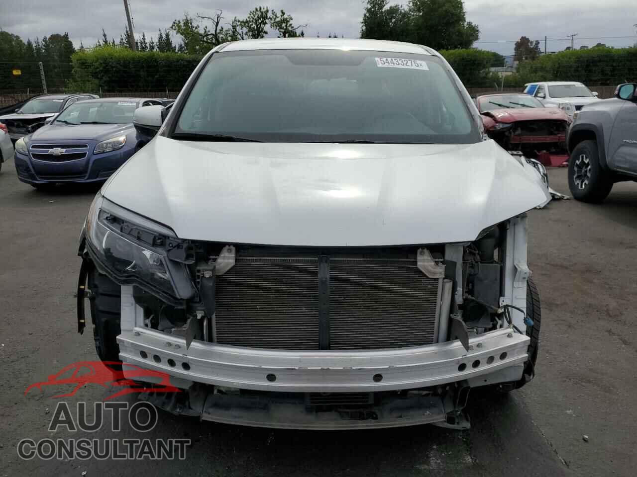 HONDA RIDGELINE 2019 - 5FPYK3F12KB047265