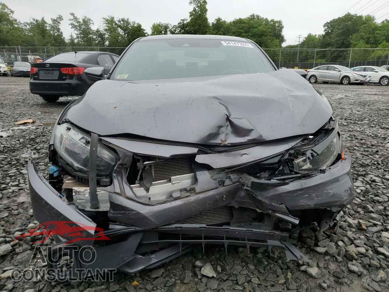 HONDA CIVIC 2019 - 2HGFC2F86KH518995
