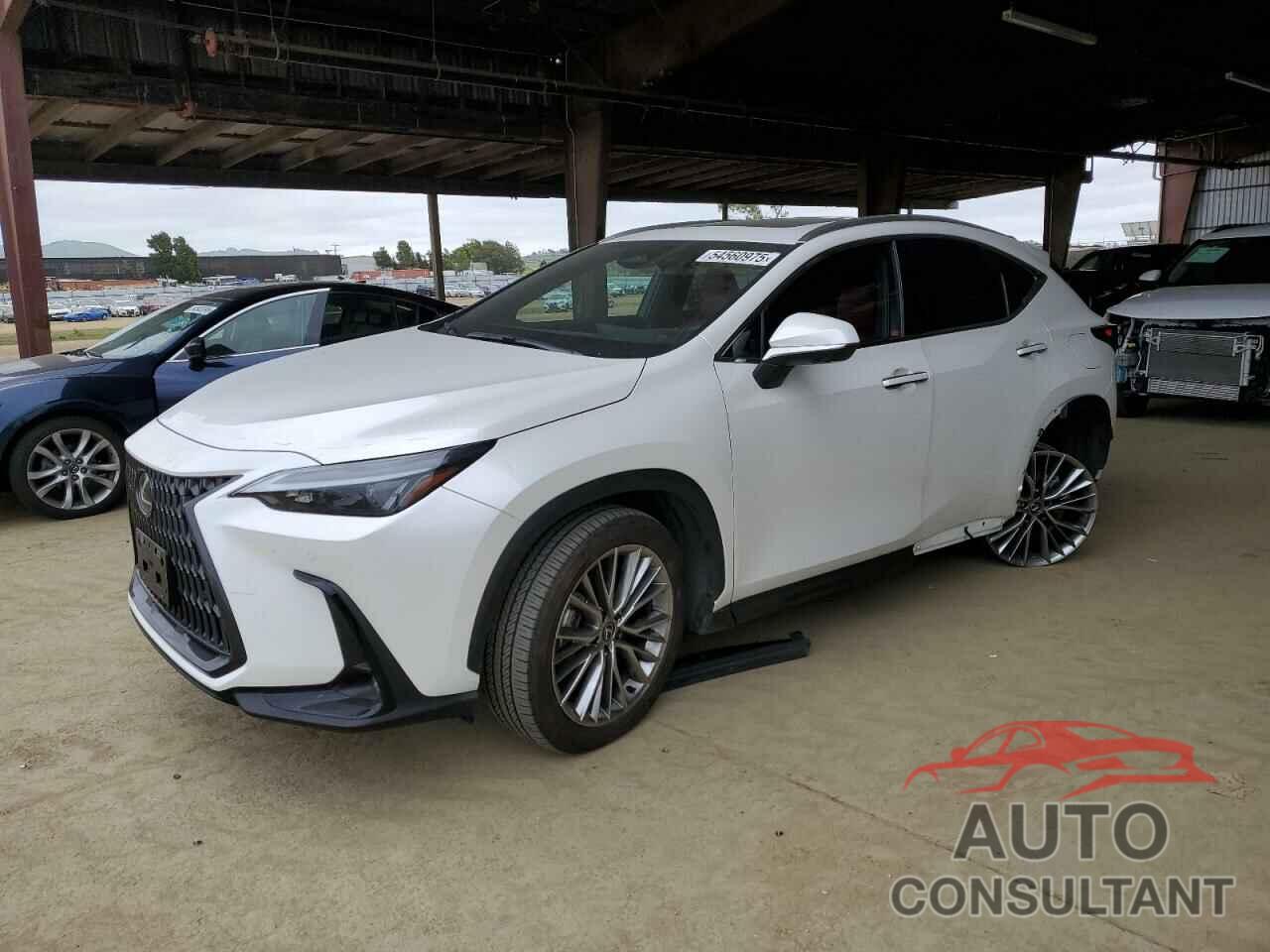 LEXUS NX 350 PRE 2025 - JTJGGCEZ4S5010472