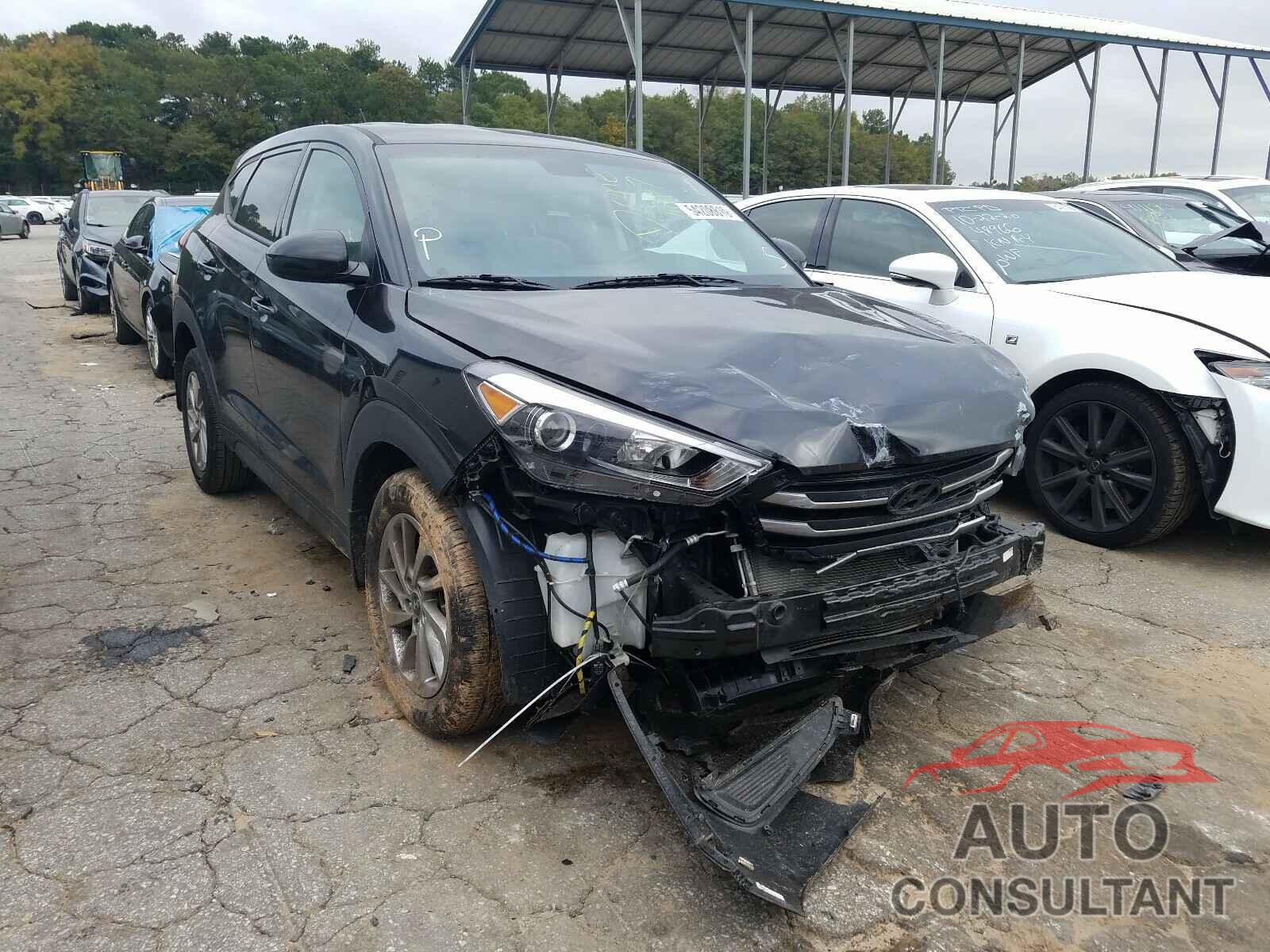 HYUNDAI TUCSON 2017 - KM8J23A42HU308241
