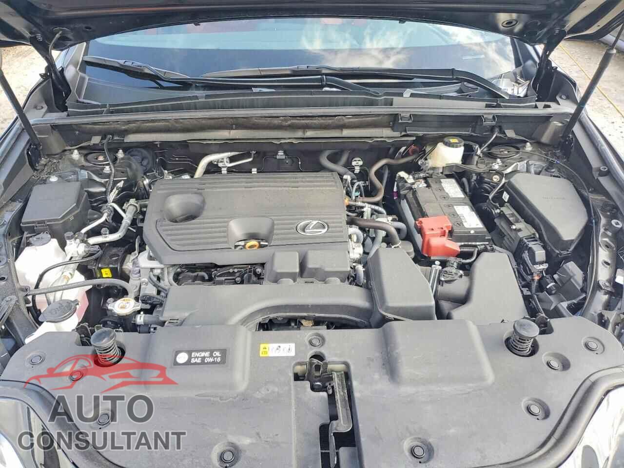 LEXUS NX 2025 - 2T2ADCAZ4SC024183
