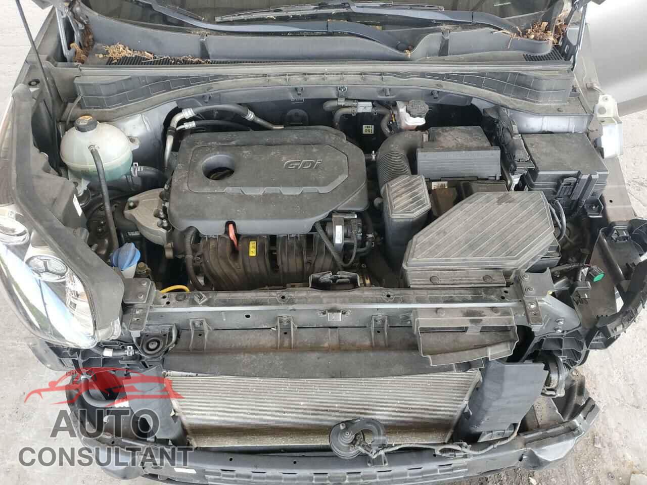 KIA SPORTAGE 2019 - KNDPM3ACXK7500710