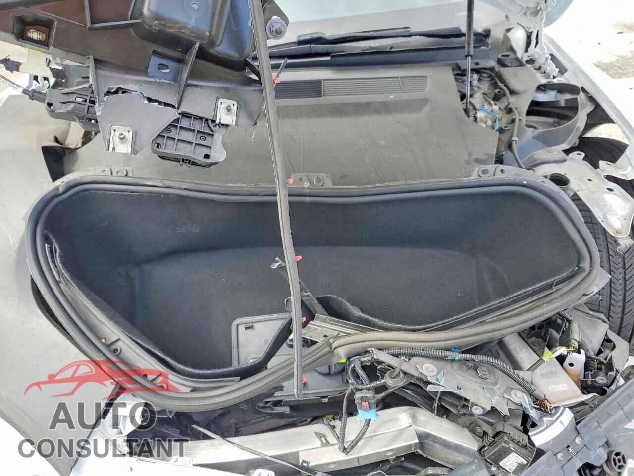 TESLA MODEL S 2022 - 5YJSA1E56NF483003