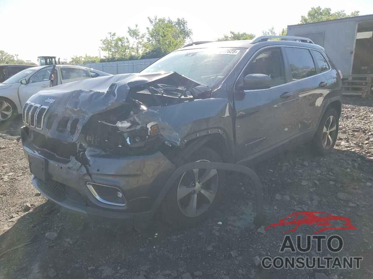 JEEP GRAND CHER 2019 - 1C4PJMDX4KD133124