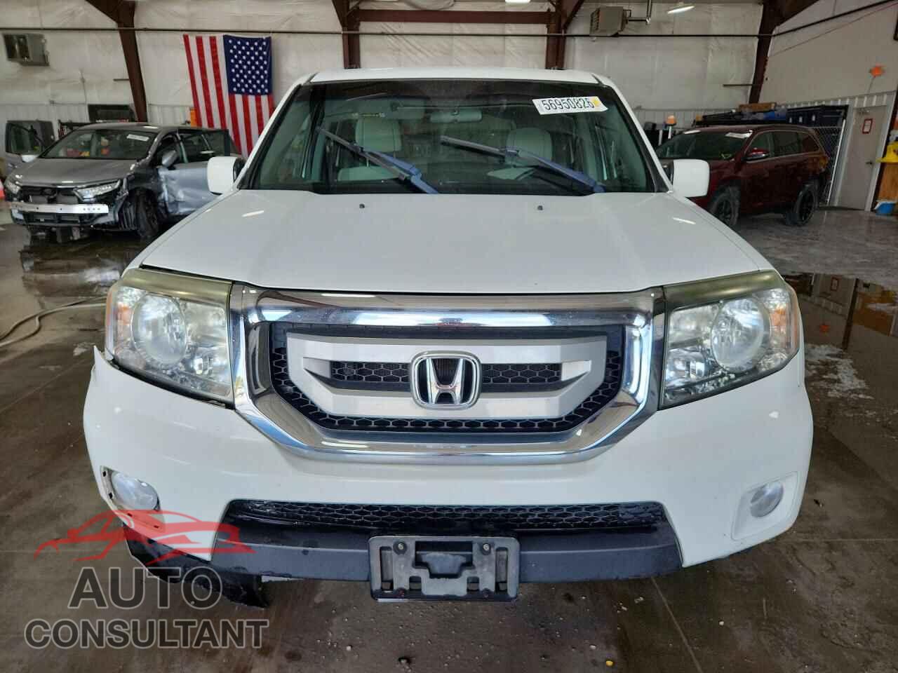 HONDA PILOT 2011 - 5FNYF4H49BB082802