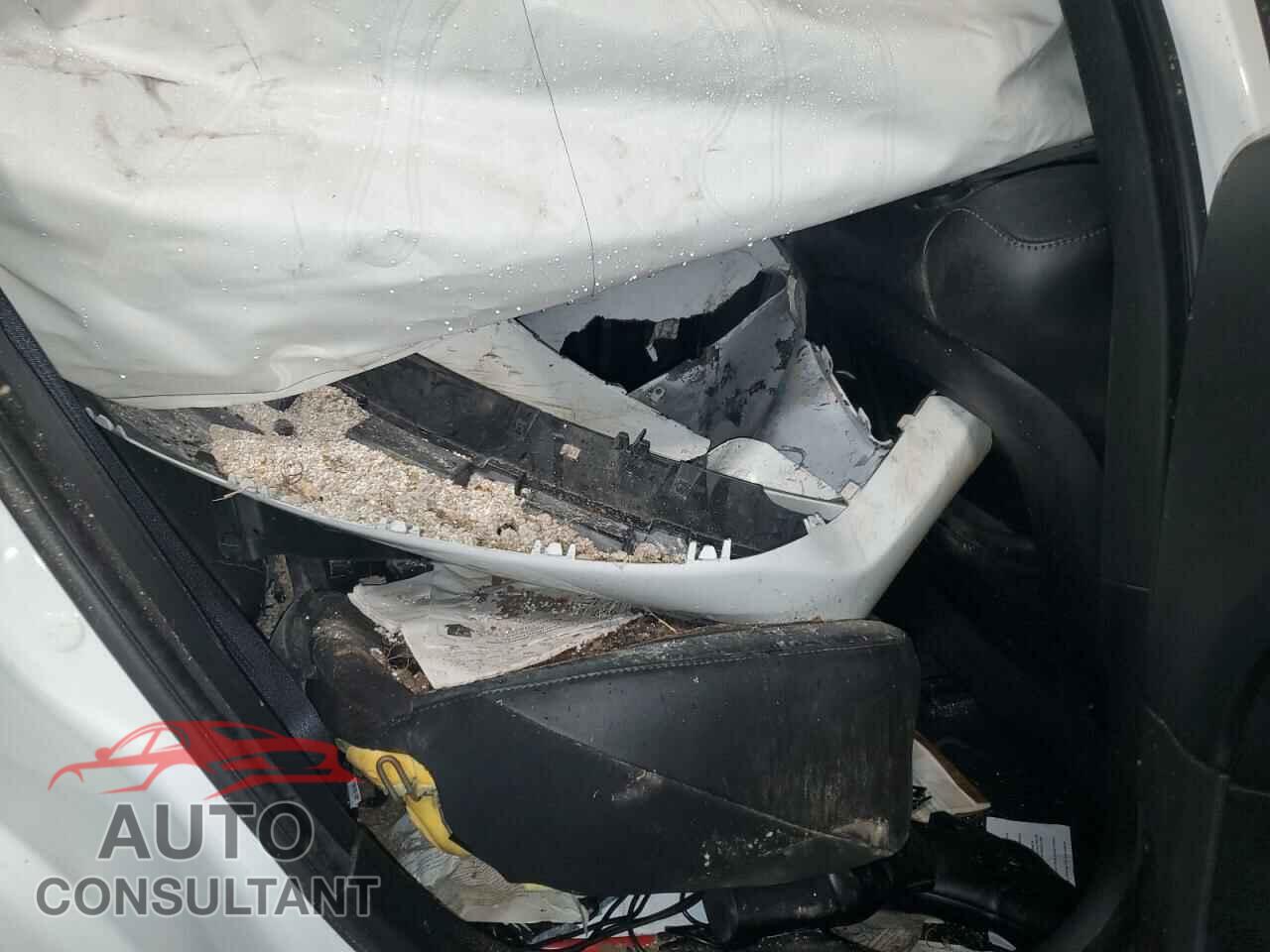 DODGE CHARGER 2019 - 2C3CDXGJ7KH716308