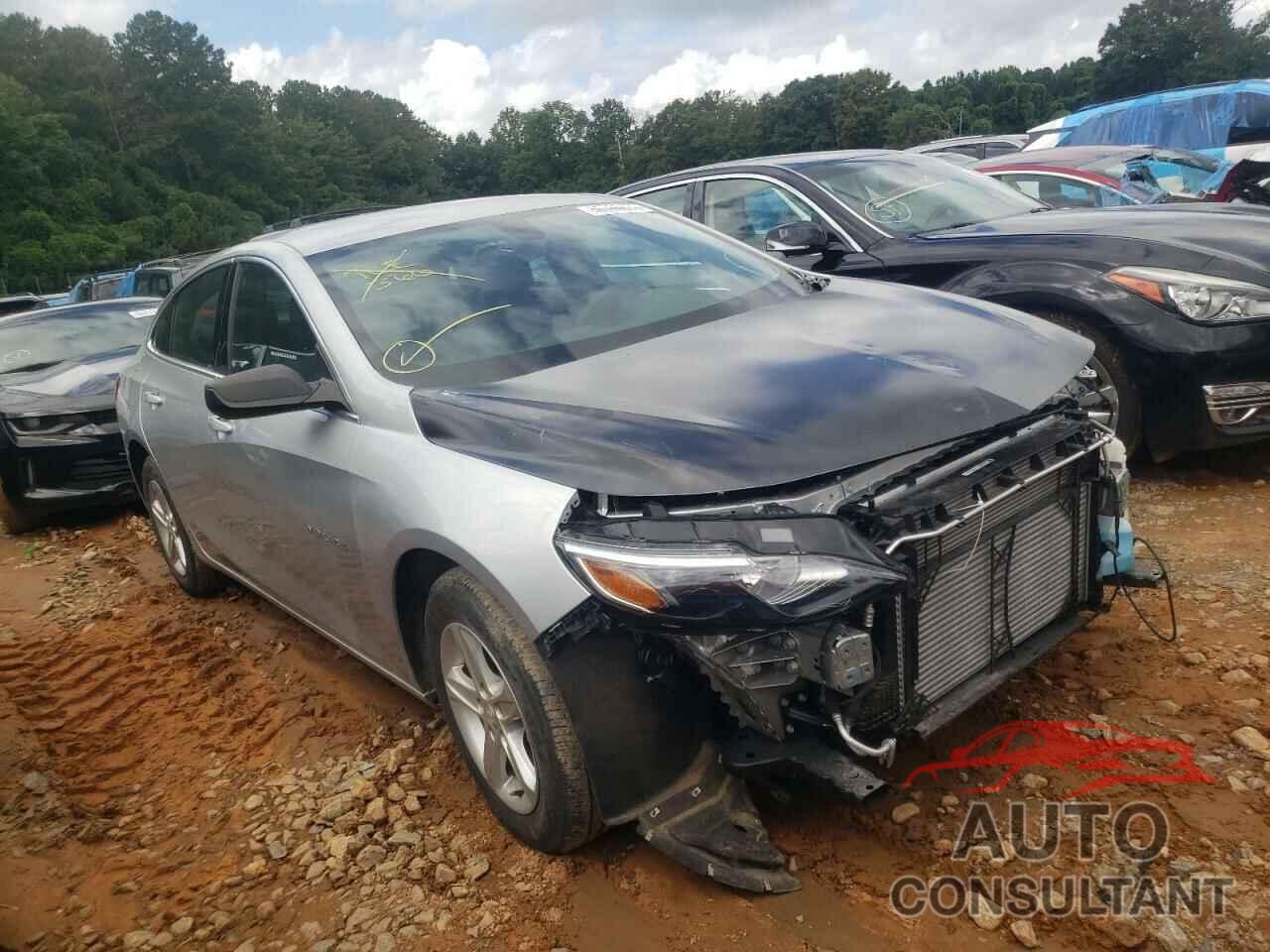 CHEVROLET MALIBU 2019 - 1G1ZB5ST2KF222473