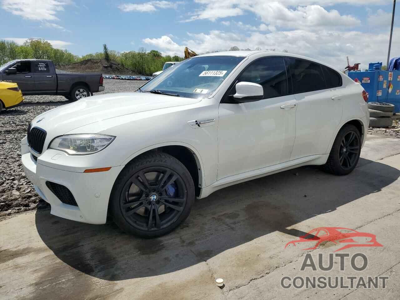 BMW X6 2014 - 5YMGZ0C51E0J99828