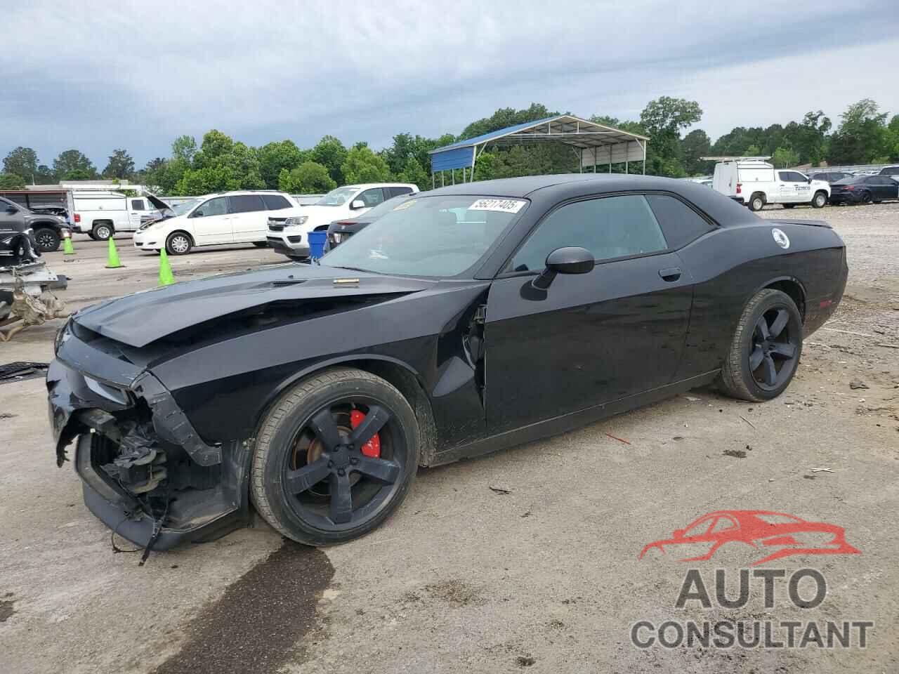 DODGE CHALLENGER 2014 - 2C3CDYBT5EH139944