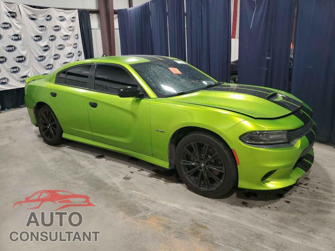 DODGE CHARGER 2019 - 2C3CDXCT5KH532346