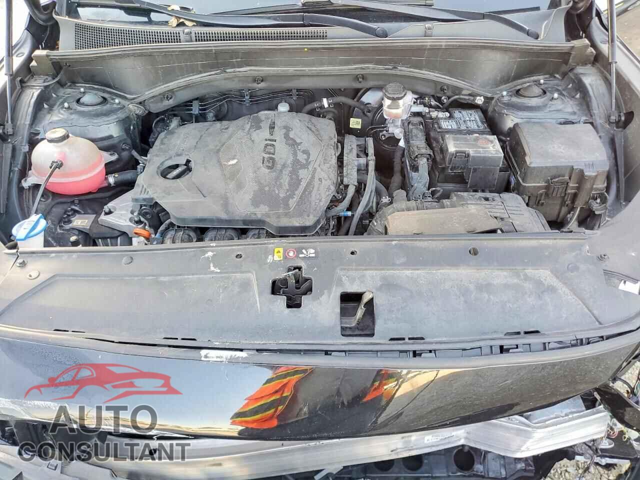 HYUNDAI SANTA FE 2023 - 5NMS14AJ0PH636951