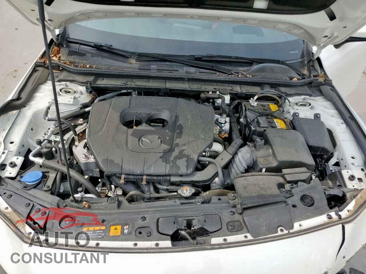 MAZDA 3 2023 - JM1BPBMMXP1621795