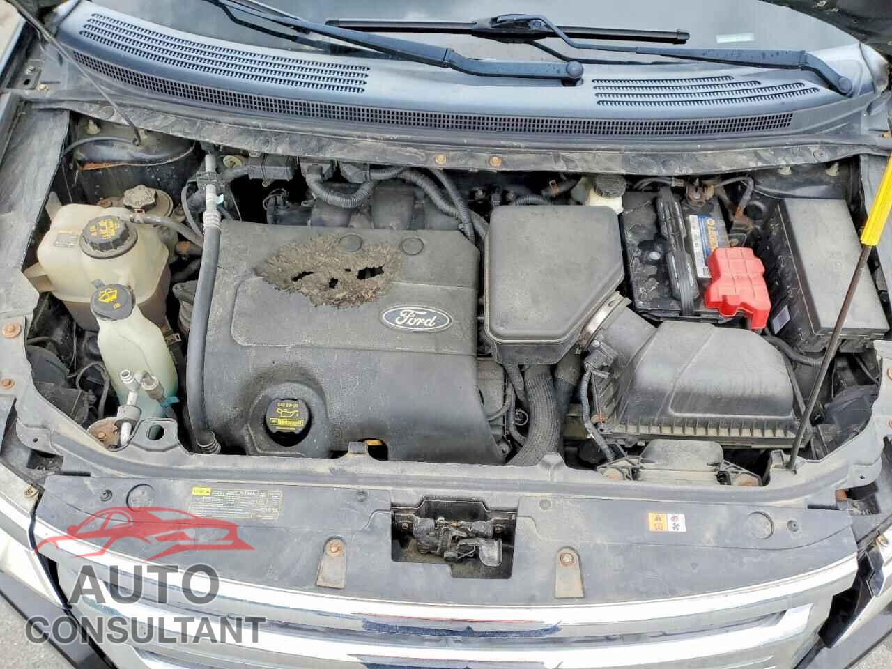 FORD EDGE 2013 - 2FMDK4KC0DBB02294