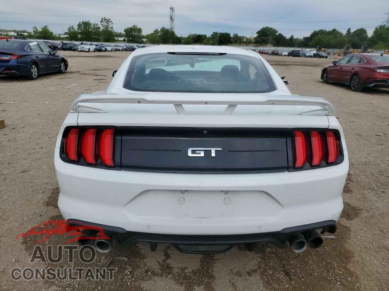 FORD MUSTANG 2019 - 1FA6P8CF8K5117020