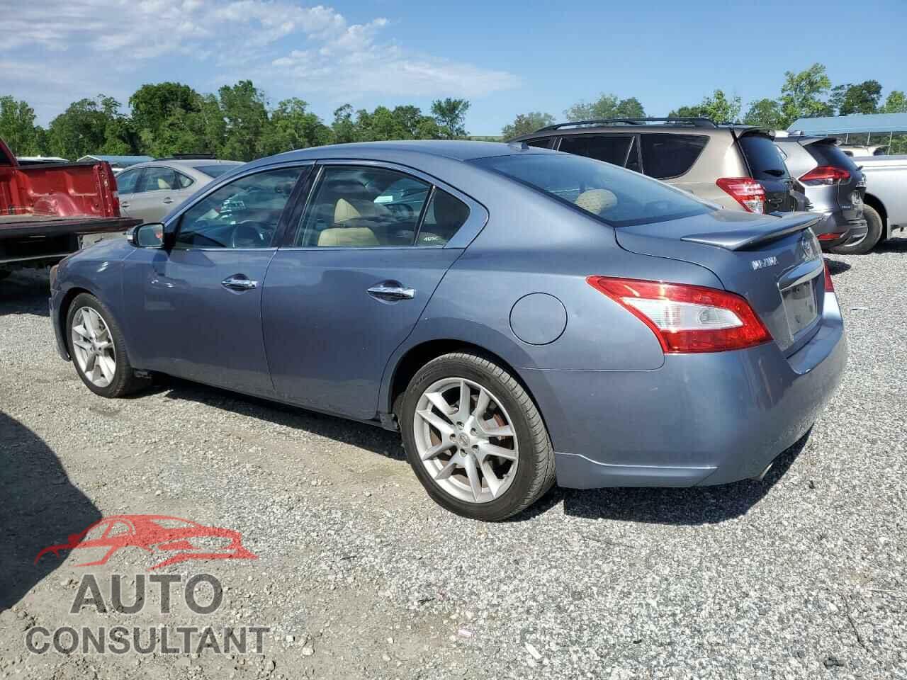 NISSAN MAXIMA 2010 - 1N4AA5AP1AC842314