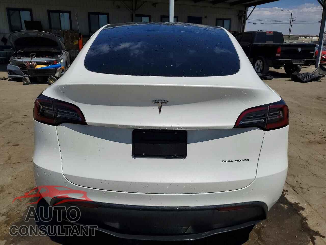 TESLA MODEL Y 2024 - 7SAYGDEE5RF081637