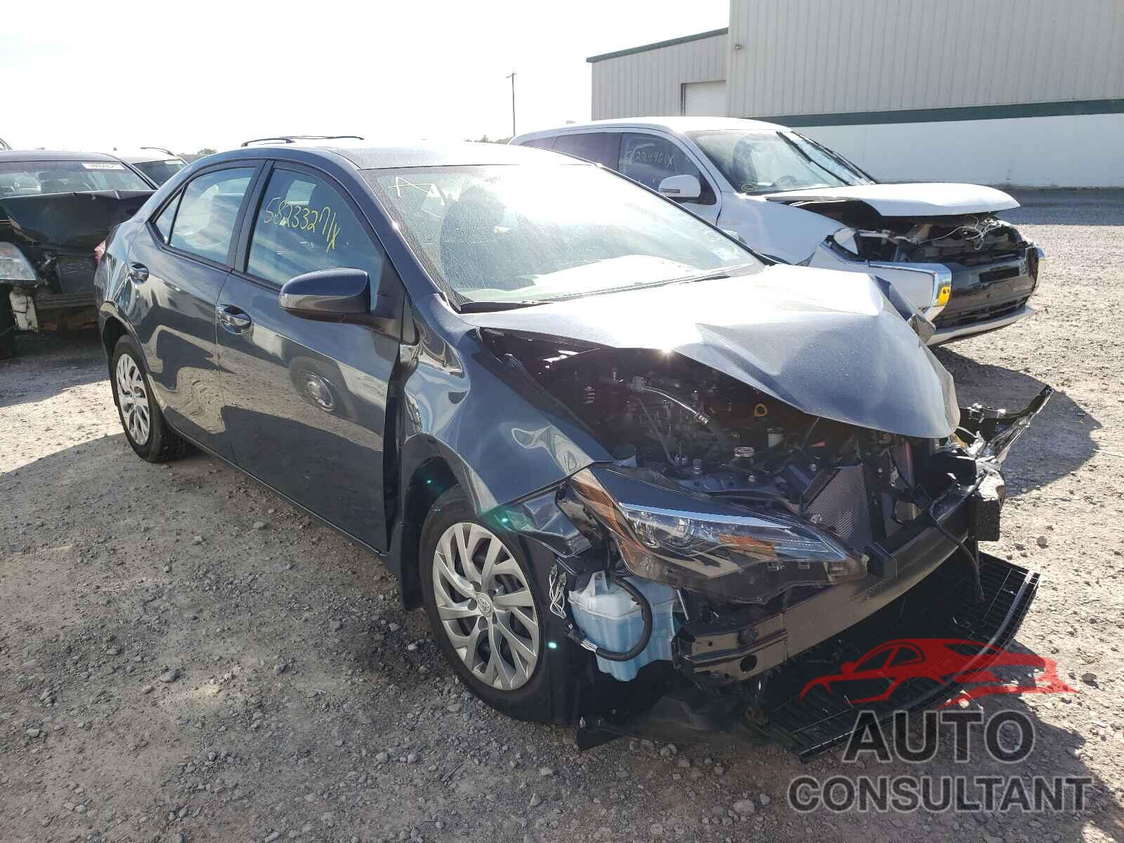 2019 COROLLA TOYOTA