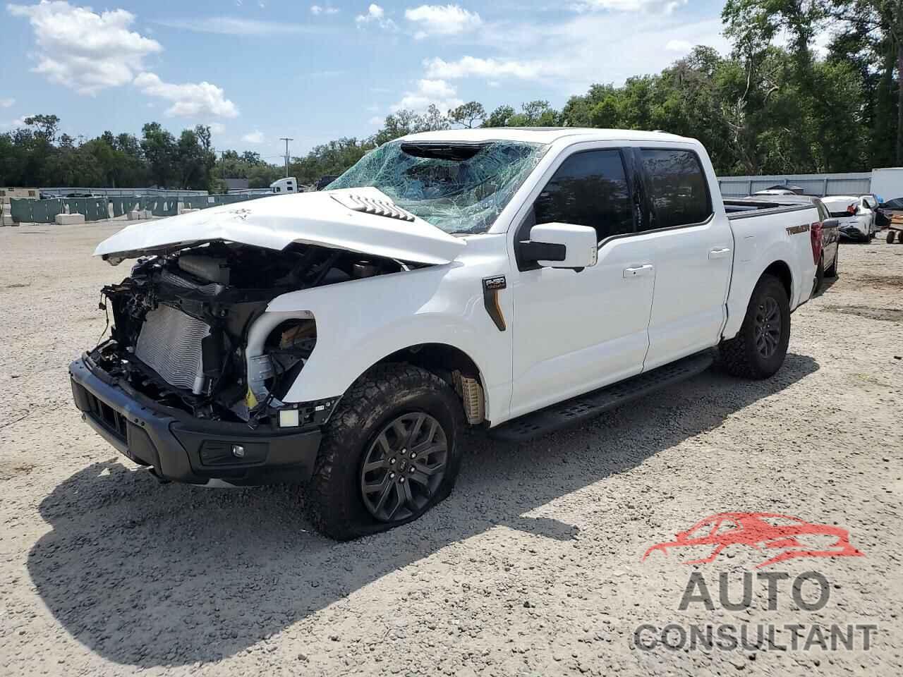 FORD F150 TREMO 2024 - 1FTFW4L53RFC21125