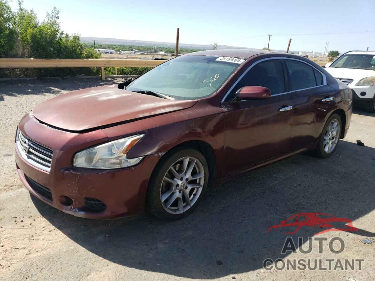 NISSAN MAXIMA 2010 - 1N4AA5AP3AC802655