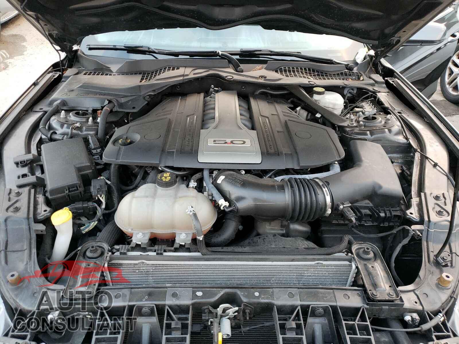 FORD MUSTANG 2019 - 1FA6P8CF1K5122902