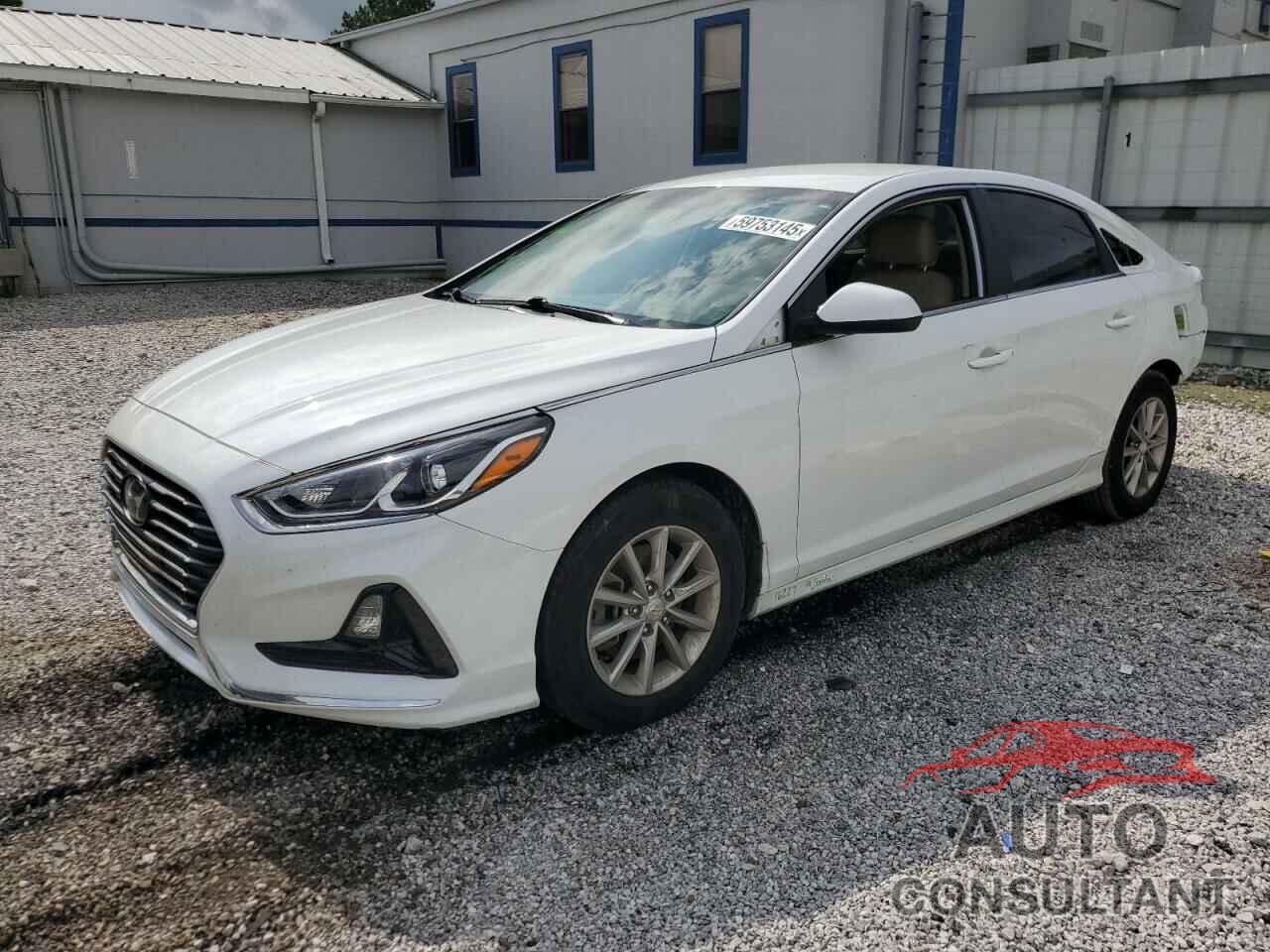HYUNDAI SONATA 2019 - 5NPE24AF8KH793290
