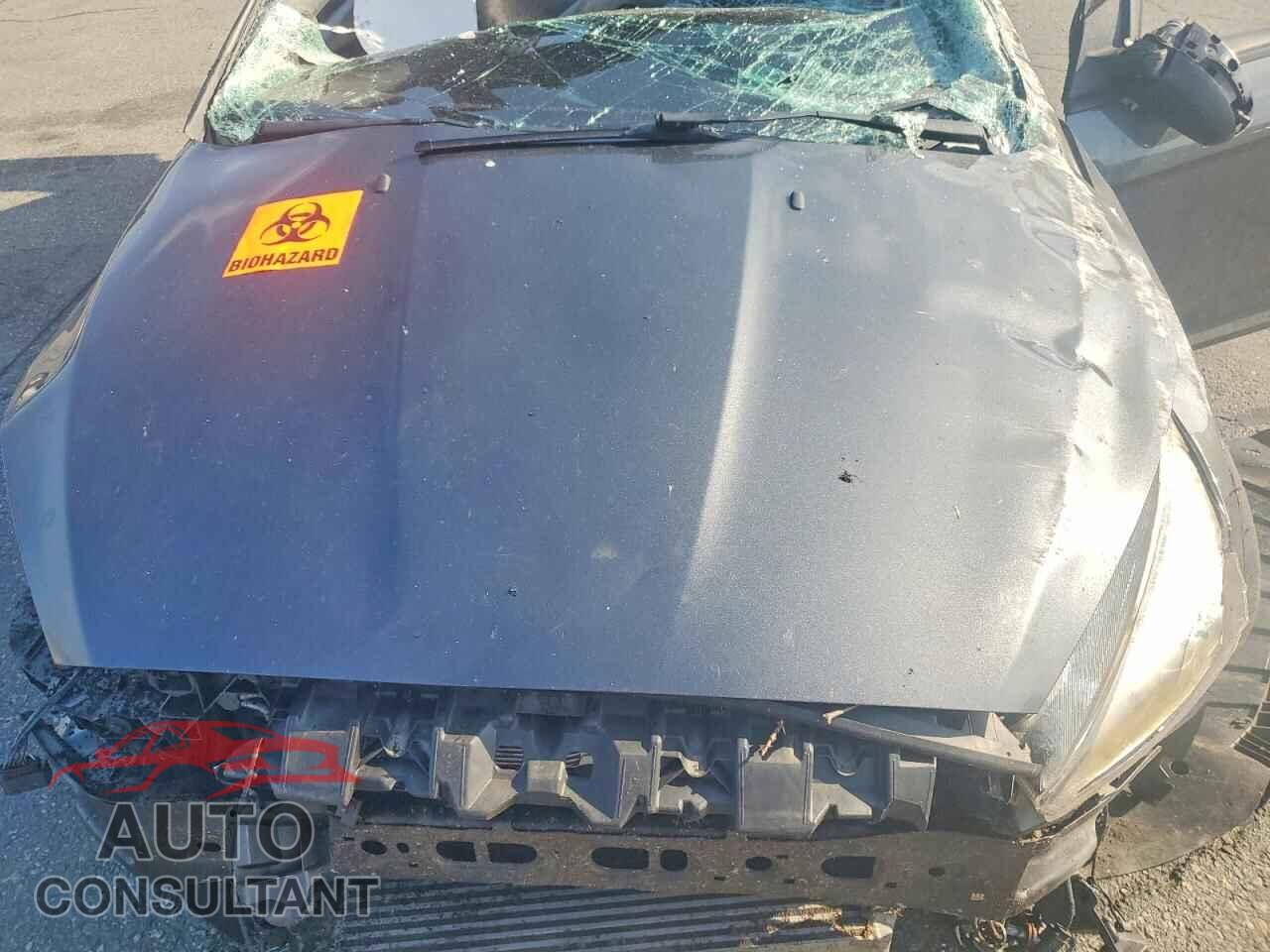 FORD FOCUS 2017 - 1FADP3L94HL301251