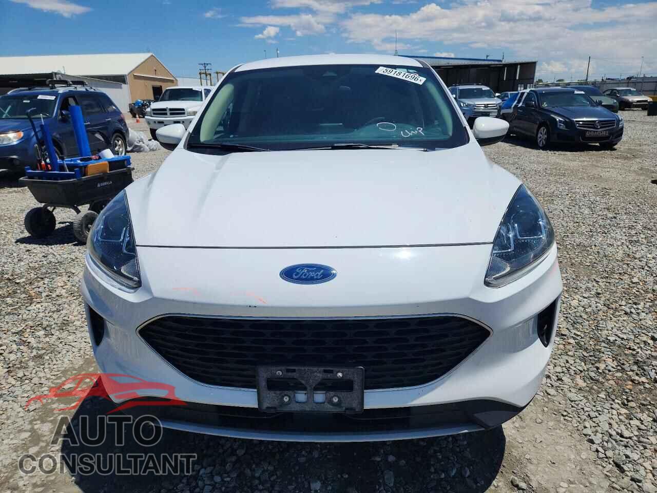 FORD ESCAPE 2020 - 1FMCU9G6XLUA56181