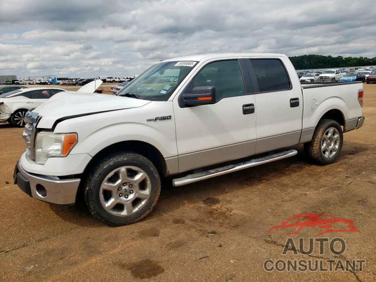 FORD F-150 2013 - 1FTFW1CF3DKD41403