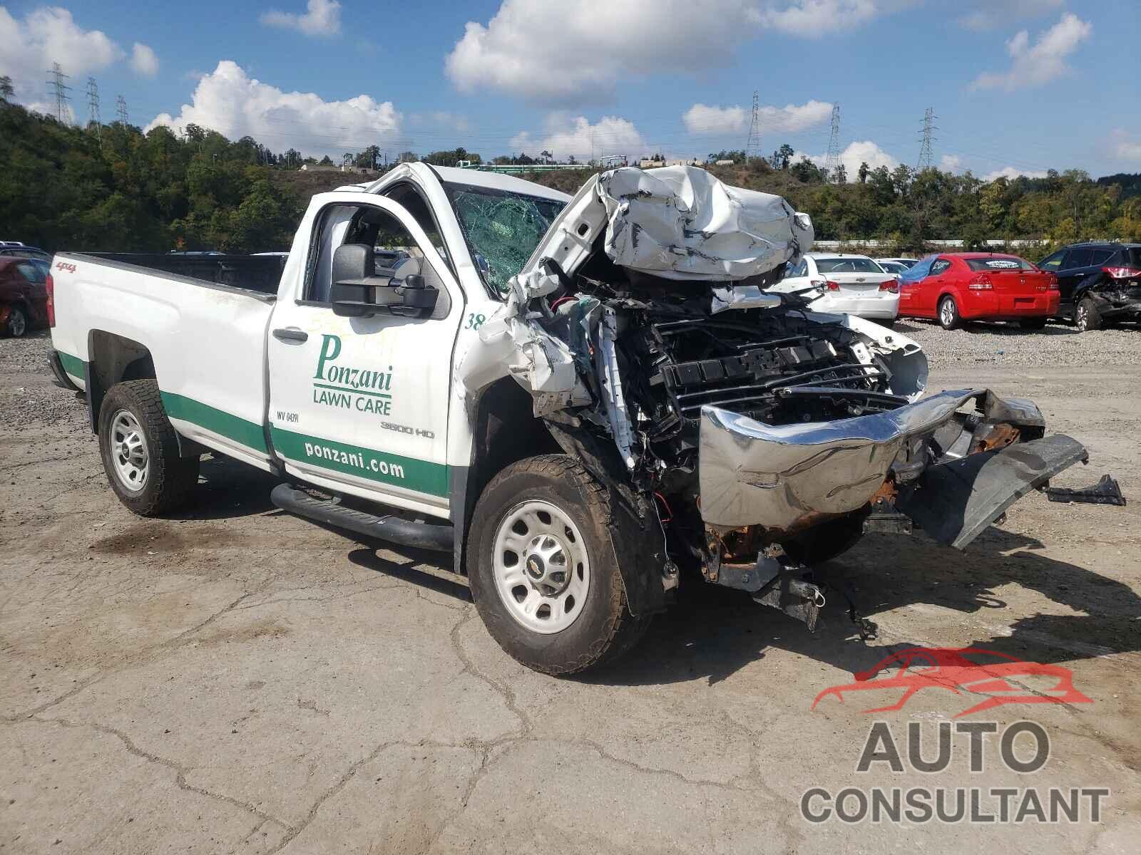 CHEVROLET SILVERADO 2018 - 1GC0KYEG7JZ106425
