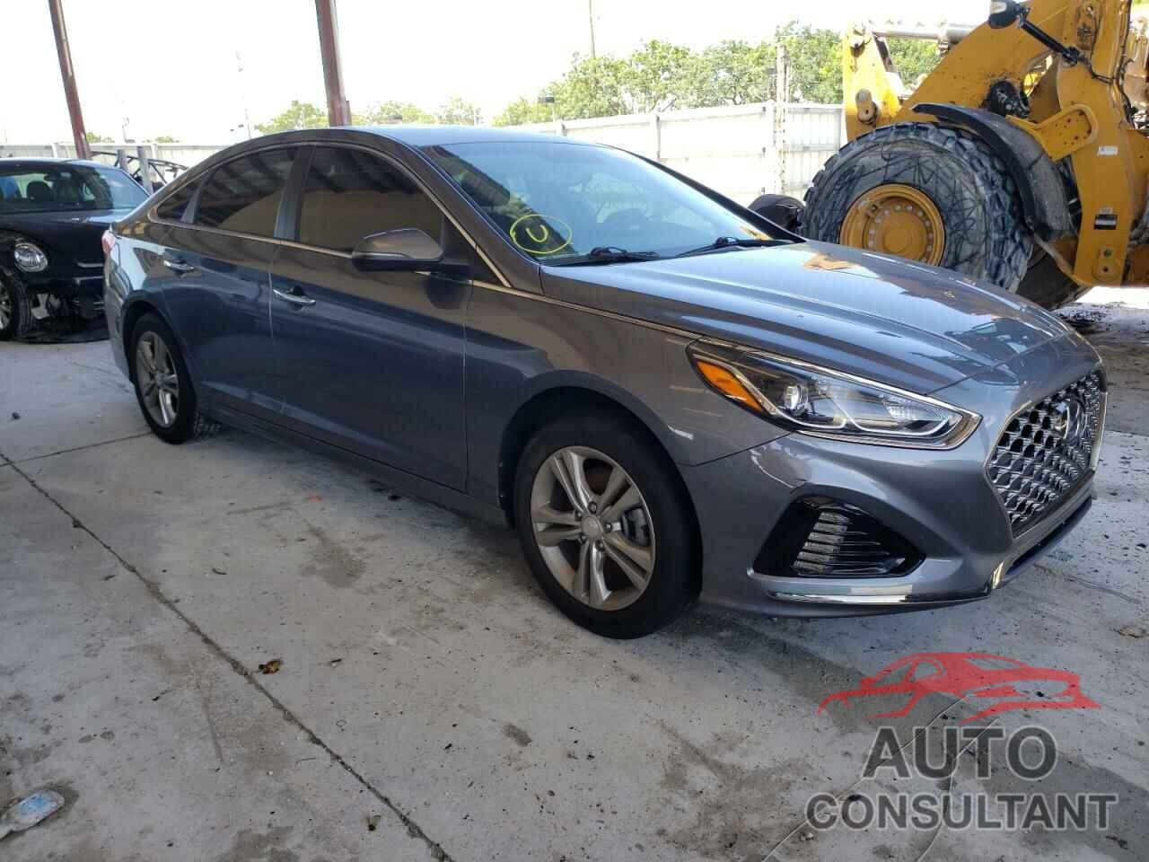 HYUNDAI SONATA 2019 - 5NPE34AF1KH815000