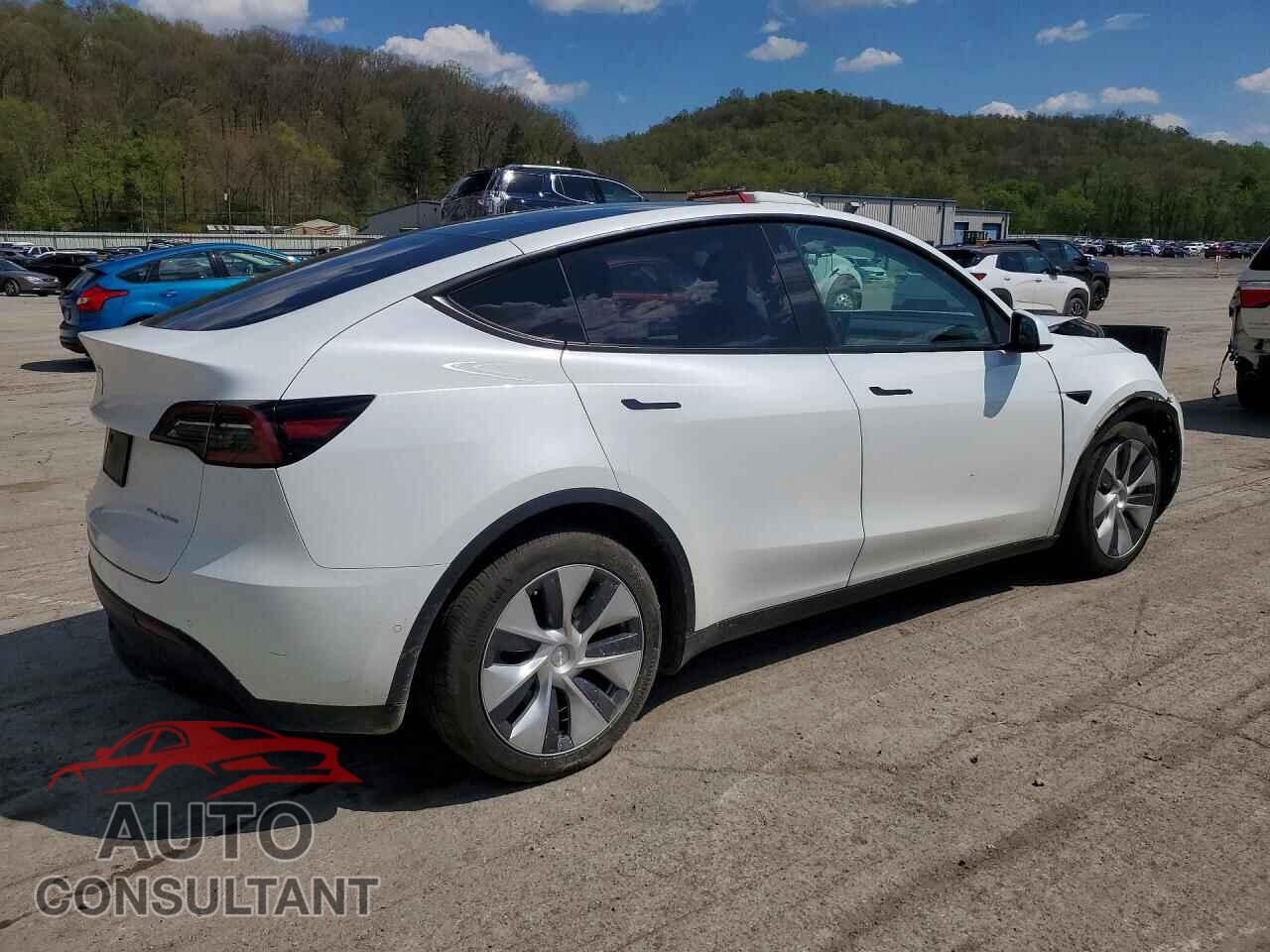 TESLA MODEL Y 2022 - 7SAYGAEE7NF543723